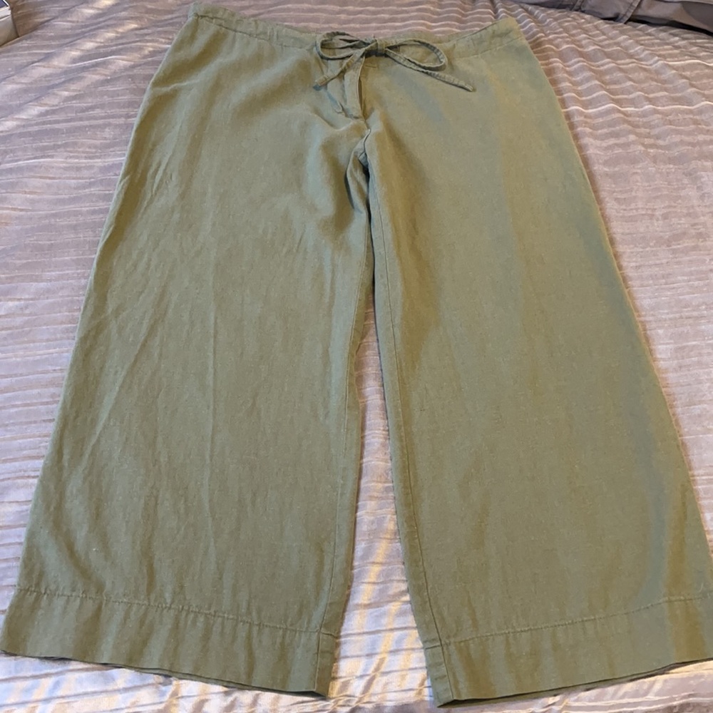 Wet Seal Sage Green Capris